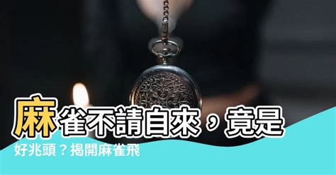 麻雀來家裡